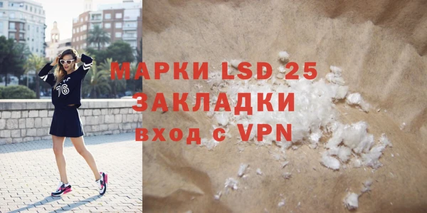 хмурый Белокуриха