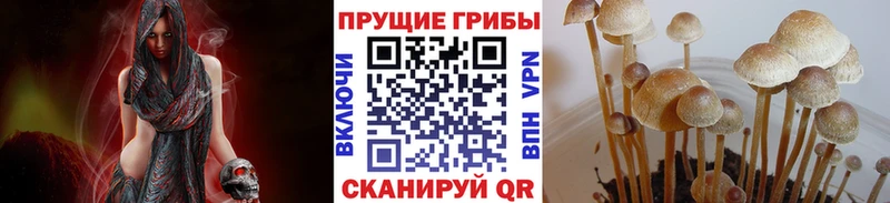 Галлюциногенные грибы мицелий  наркошоп  omg зеркало  сайты даркнета состав  Вольск 
